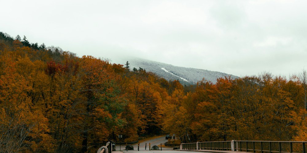 Fall foliage in Franconia Notch, New Hampshire with mountains in the background